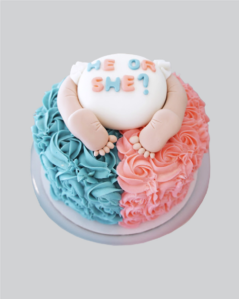 Gender Reveal Cake - Style 2 - CakeOBee